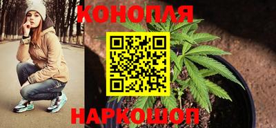 a pvp Краснознаменск