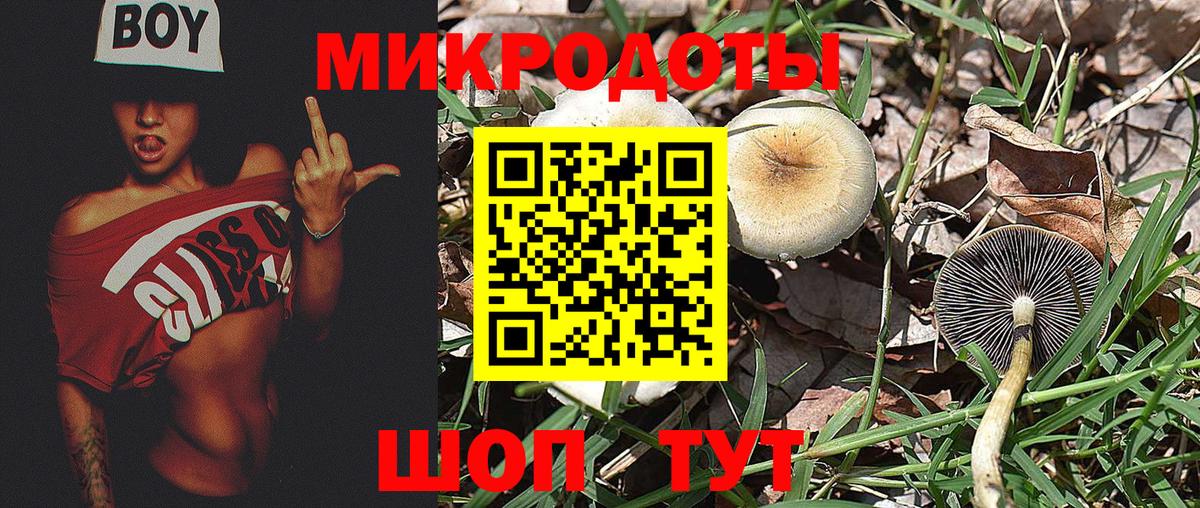 Галлюциногенные грибы ЛСД Чехов