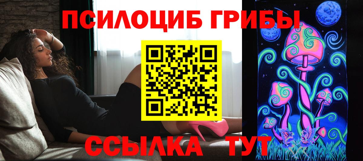 Псилоцибиновые грибы прущие грибы  Вход с VPN  Чехов  Галлюциногенные грибы MAGIC MUSHROOMS 
